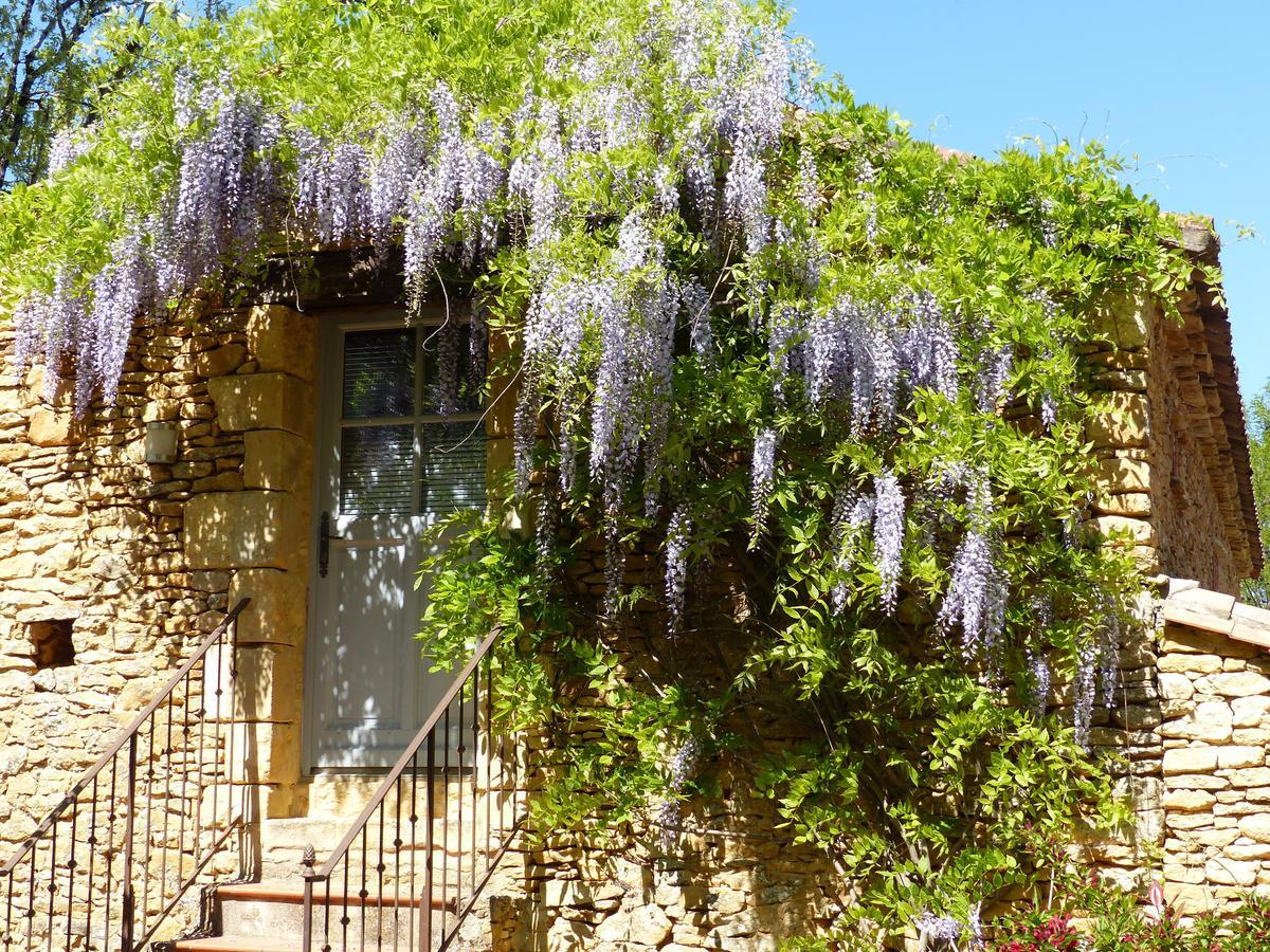Chambres D'Hotes Les Boudines Saint-Germain-de-Belvès Δωμάτιο φωτογραφία
