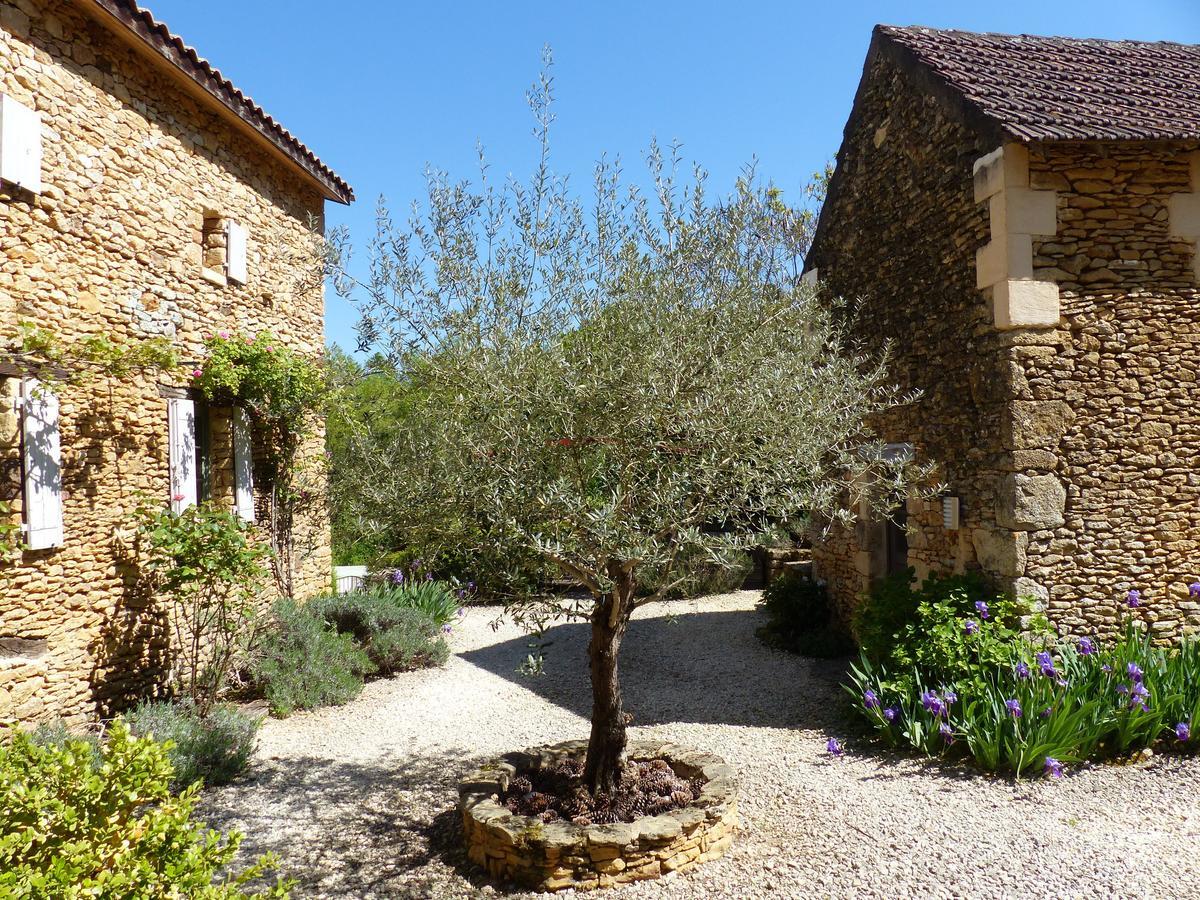 Chambres D'Hotes Les Boudines Saint-Germain-de-Belvès Εξωτερικό φωτογραφία